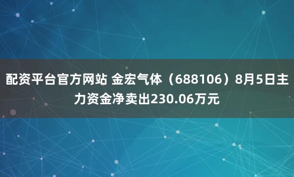 配资平台官方网站 金宏气体（688106）8月5日主力资金净卖出230.06万元